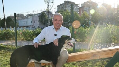 Nilüfer’de can dostlar yeni yuvalarına kavuştu