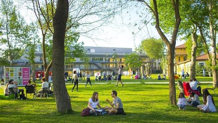 İstanbul Bilgi Üniversitesi’nden dört yeni program