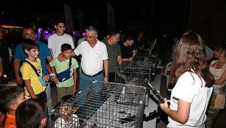 Kemer’de sokak hayvanları yararına ikinci konser