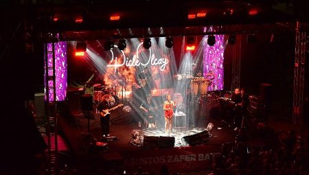 Ödemiş’te Zafer Coşkusu