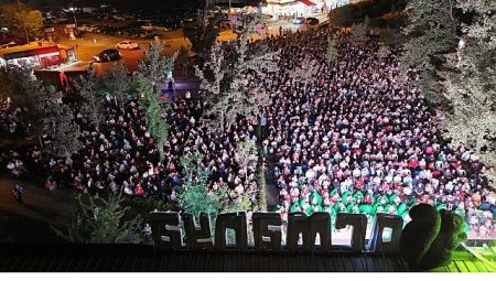 Ormanya gece sineması 5 bin katılımcıyla rekor kırdı