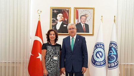 Eksozom Destekli Göz Yüzeyi Kök Hücre Kültürü