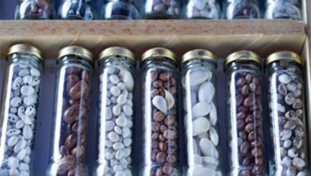 Minik eller toprakla buluştu