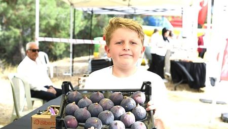 Osmangazi Belediyesi’nden dünyaca ünlü siyah incire festival