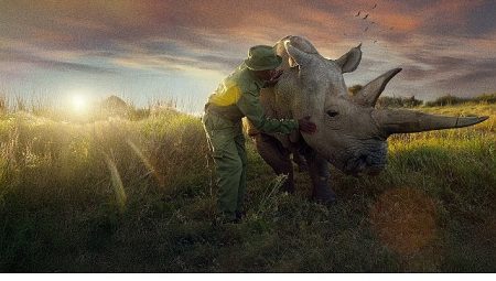 ‘Son Gergedanlar: Yeni Bir Umut’, 21 Eylül Pazar 20.00’de National Geographic Ekranlarında!