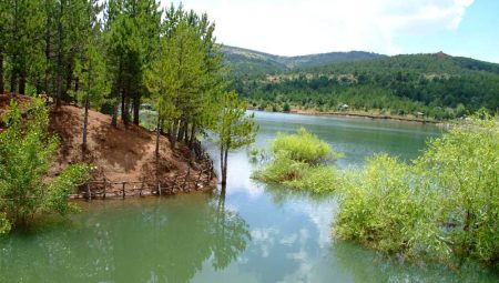 Yozgat Milli Çamlık Parkı