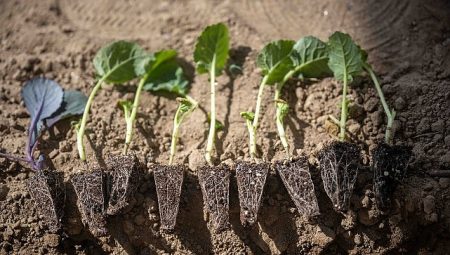 Bornova’da minik eller toprakla buluştu