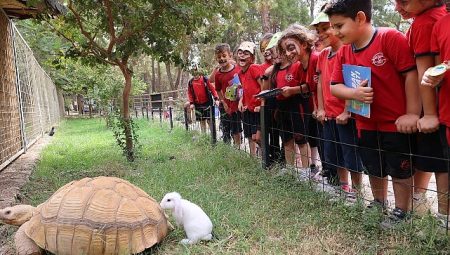 Büyükşehir Doğal Yaşam Parkı’nda 4 Ekim kutlaması
