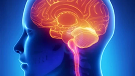 İnsanların Beş Değil, 33 Duyusu Olabilir