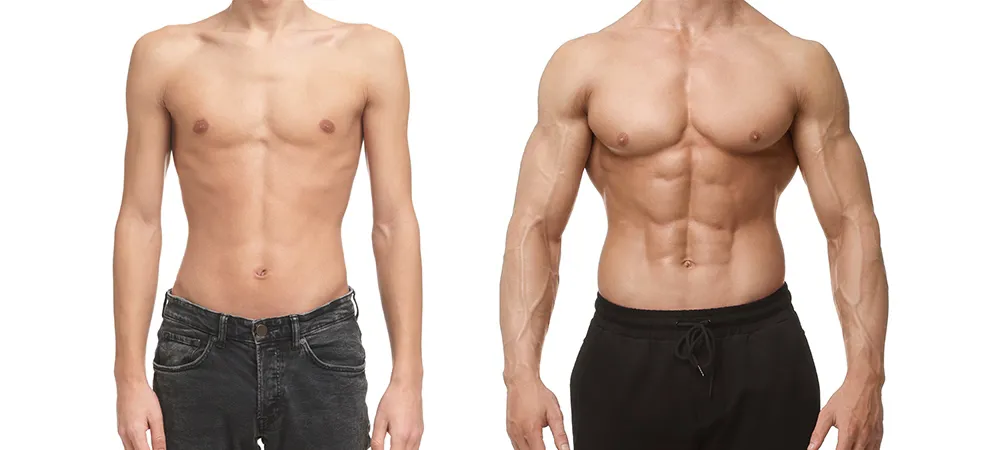 Vücut Geliştirme Gerçekleri