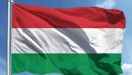 Macaristan komünizm dönemi istihbarat kayıtlarını paylaşıyor